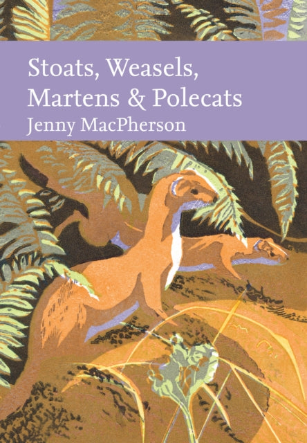 Stoats, Weasels, Martens and Polecats-'9780008334932