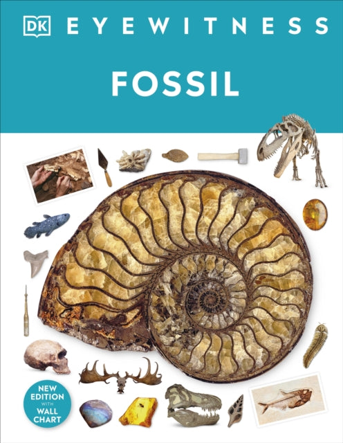 Fossil-'9780241652770