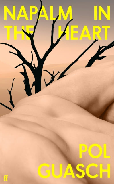 Napalm in the Heart : 'Innovative and original' COLM TOIBIN-'9780571375257