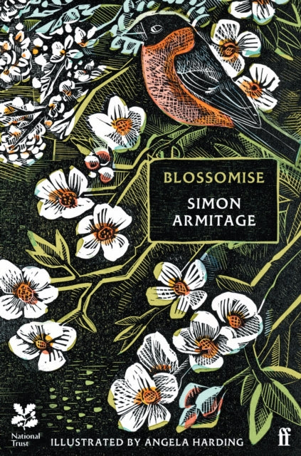 Blossomise-'9780571388417