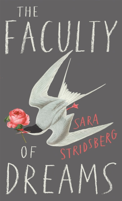 The Faculty of Dreams : Longlisted for the Man Booker International Prize 2019-'9780857054746