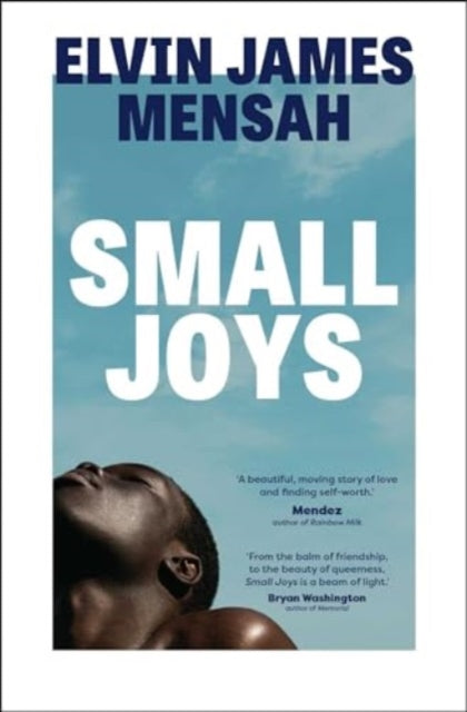 Small Joys : A Buzzfeed 'Amazing New Book You Need to Read ASAP'-'9781398514911