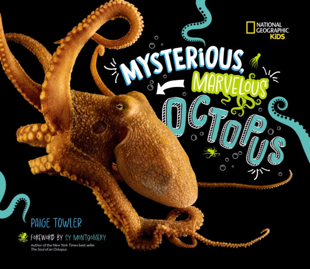 Mysterious, Marvelous Octopus!-'9781426376672