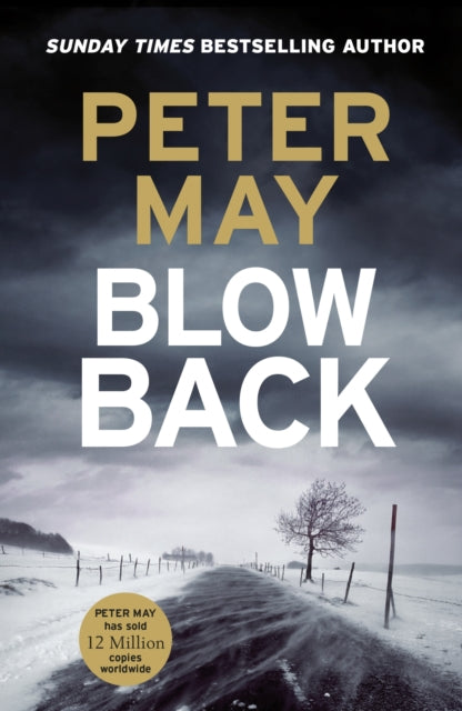 Blowback : The exciting penultimate case in the addictive crime series (The Enzo Files Book 5)-'9781529434767