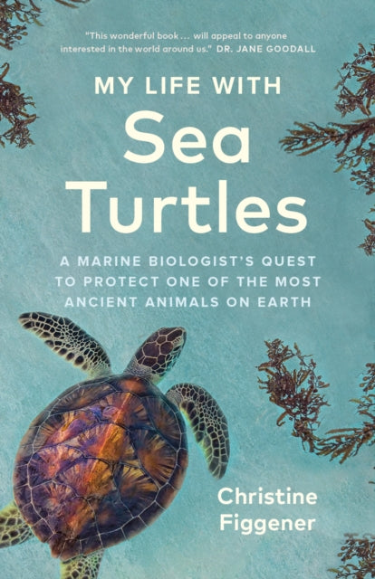 My Life with Sea Turtles : A Marine Biologist's Quest to Protect One of the Most Ancient Animals on Earth-'9781778400582