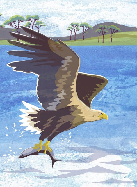 Nature Notebook: Sea Eagle-'9781780278780