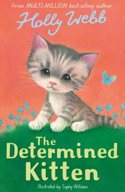 The Determined Kitten-'9781788956505