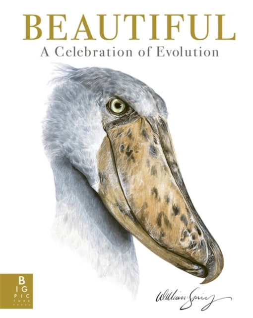 Beautiful : A Celebration of Evolution-'9781800786165