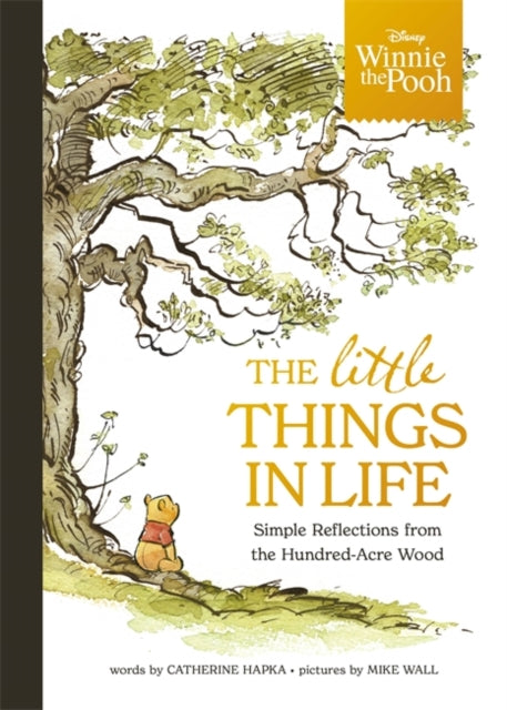 Winnie the Pooh - The Little Things in Life : Simple reflections from the Hundred-Acre Wood-'9781800787629