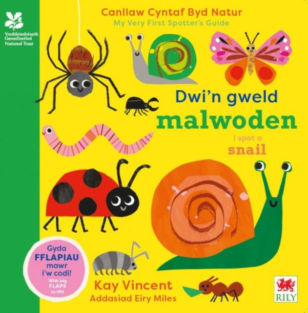 Dwi'n Gweld Malwoden / I Spot a Snail : Canllaw Cyntaf Byd Natur / My Very First Spotter's Guide-'9781804163917