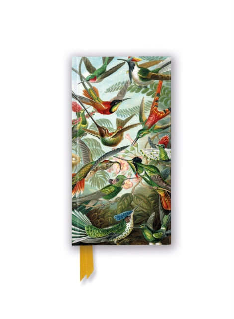 Ernst Haeckel: Hummingbirds (Foiled Slimline Journal)-'9781804179161