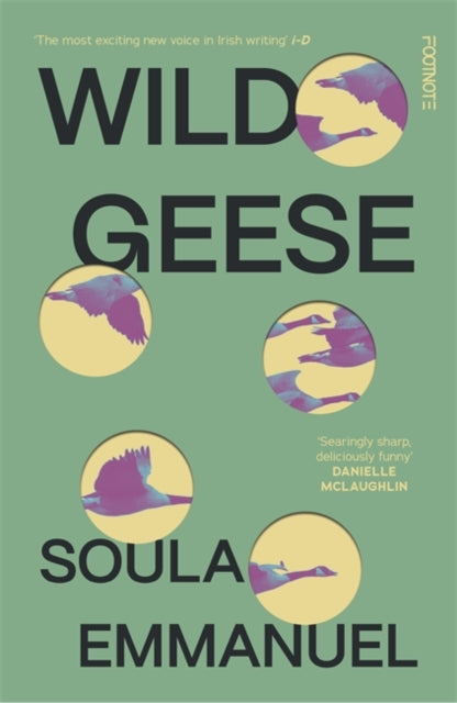 Wild Geese : the LAMBDA and GORDON BOWKER VOLCANO PRIZE winner-'9781804440162