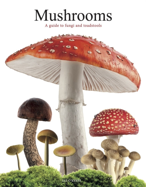 Mushrooms : A guide to fungi and toadstools-'9781838864392