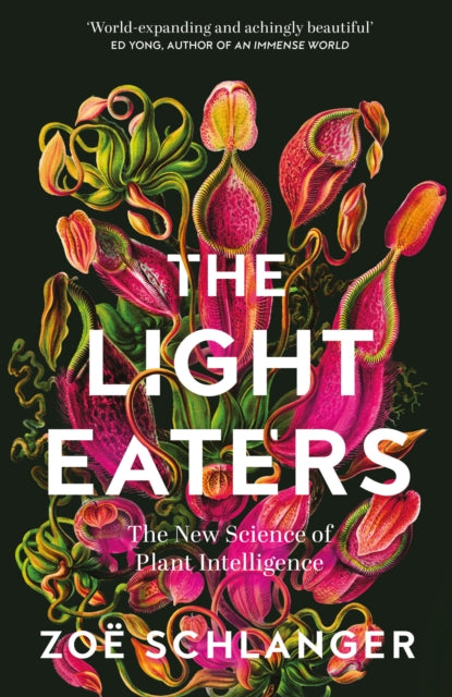 The Light Eaters : The New Science of Plant Intelligence-'9780008445348