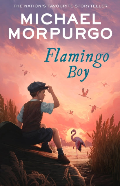 Flamingo Boy-'9780008638740