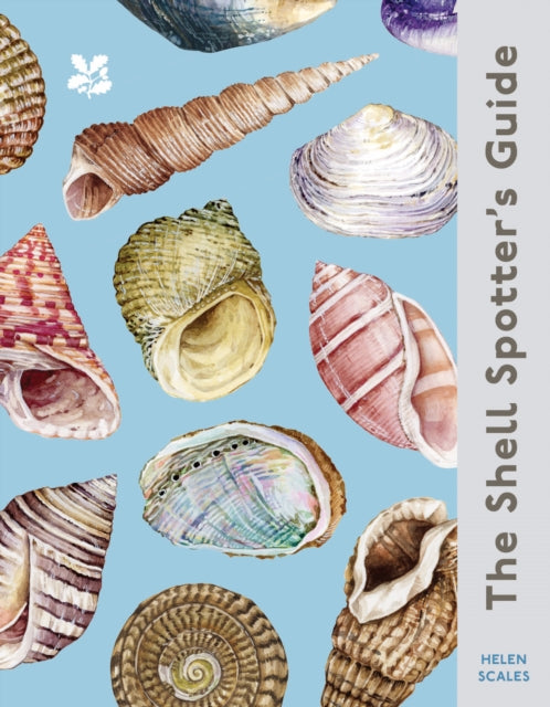 The Shell Spotter’s Guide-'9780008641313