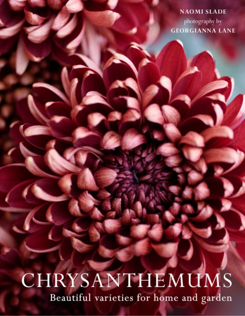 Chrysanthemums : Beautiful Varieties for Home and Garden-'9780008662738