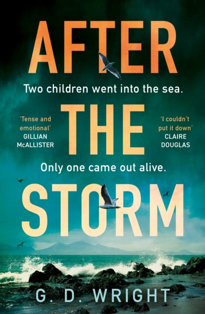 After the Storm-'9780008702403