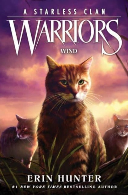 Warriors: A Starless Clan #5: Wind-'9780063050334