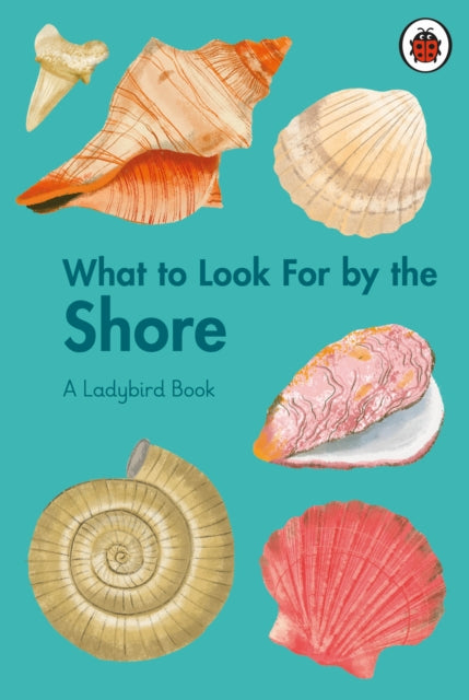 What to Look For by the Shore-'9780241626139