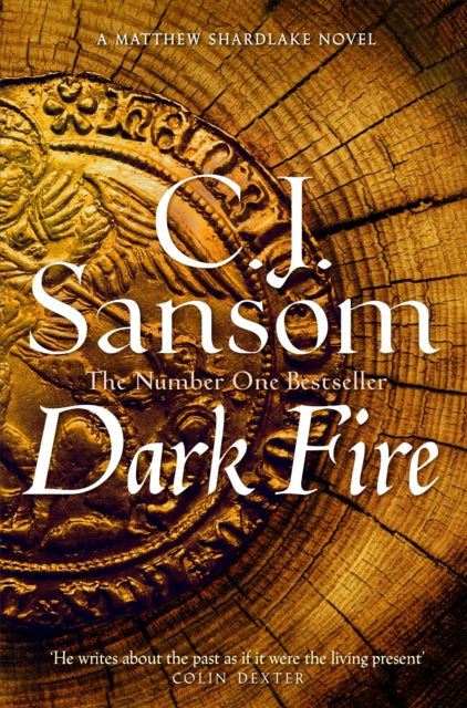 Dark Fire : The Gripping Second Instalment in the Bestselling Historical Series-'9781035012305