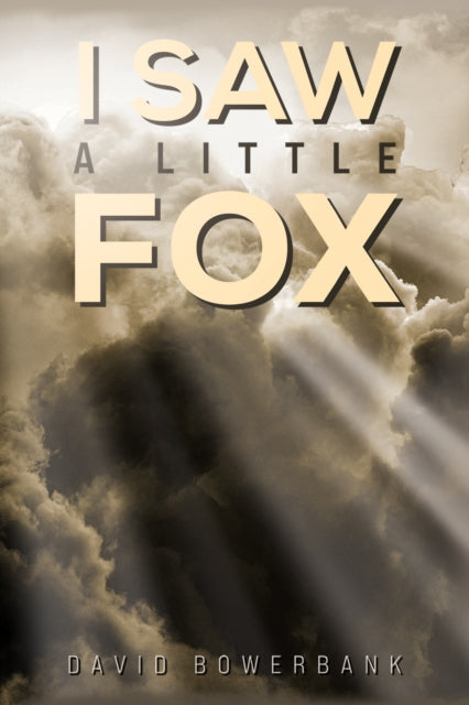 I Saw a Little Fox-'9781035851621