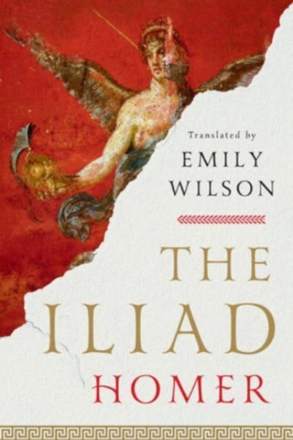 The Iliad-'9781324076148