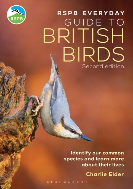 The RSPB Everyday Guide to British Birds : Identify our common species and learn more about their lives-'9781399413275