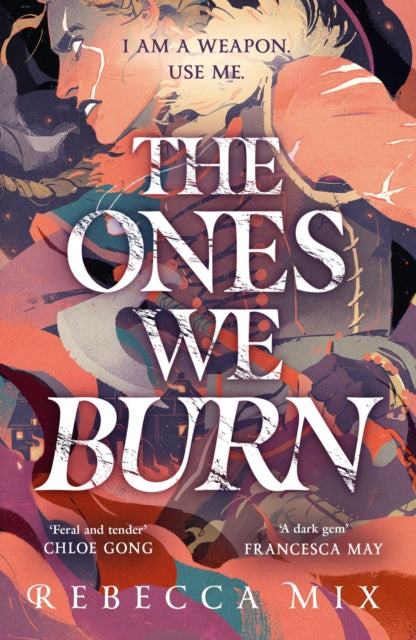 The Ones We Burn : the New York Times bestselling dark epic young adult fantasy-'9781399706254
