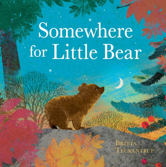 Somewhere for Little Bear-'9781408359716