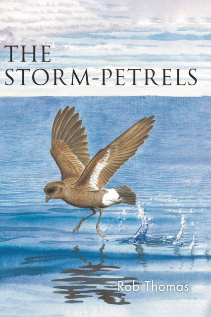 The Storm-petrels-'9781472985828