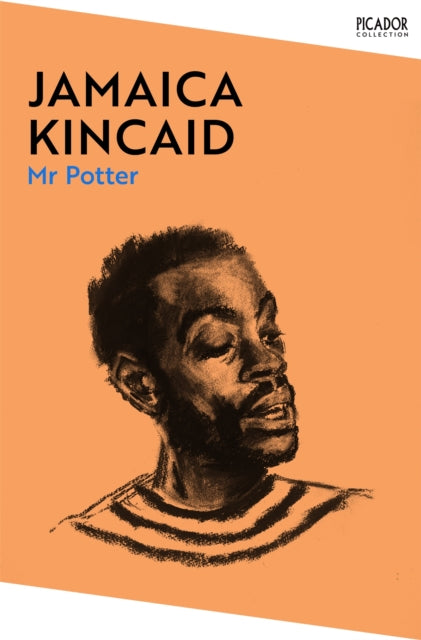 Mr Potter-'9781529076684