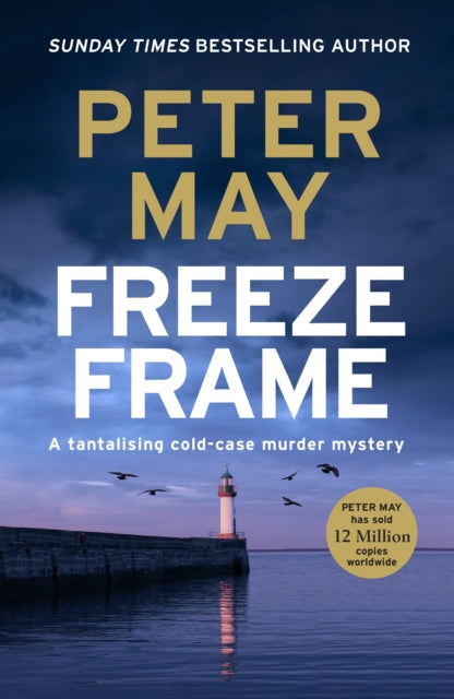 Freeze Frame : An engrossing instalment in the cold-case Enzo series (The Enzo Files Book 4)-'9781529434750