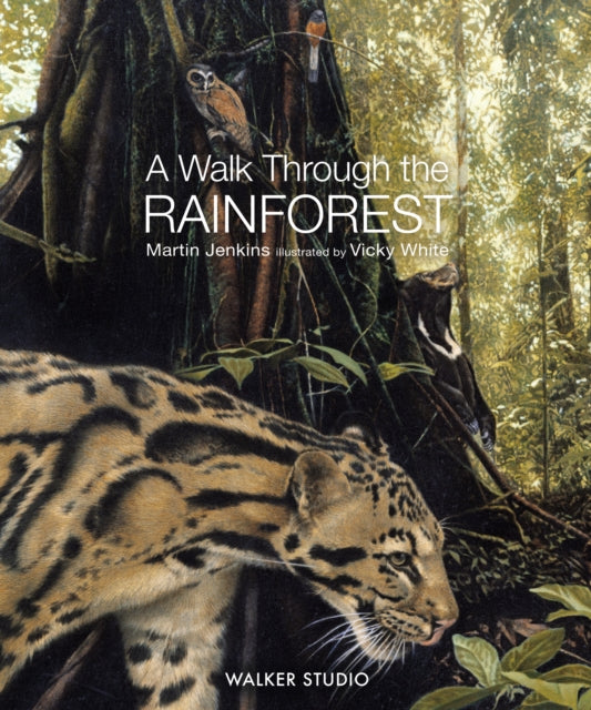 A Walk Through the Rainforest-'9781529518542