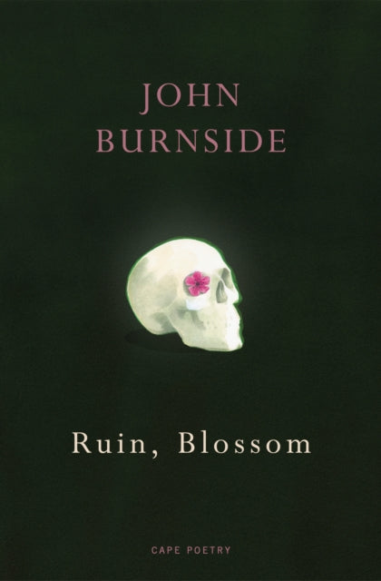 Ruin, Blossom-'9781529909258