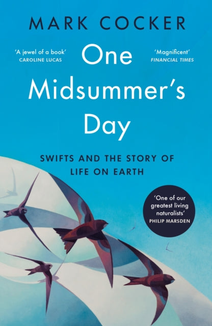 One Midsummer's Day : Swifts and the Story of Life on Earth-'9781529921991