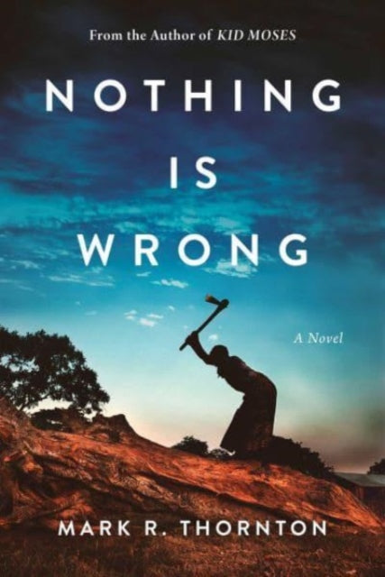 Nothing Is Wrong : A Novel-'9781648210181