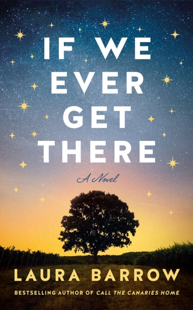 If We Ever Get There : A Novel-'9781662519048