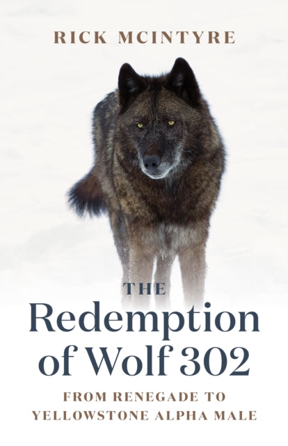 The Redemption of Wolf 302 : From Renegade to Yellowstone Alpha Male-'9781778400759