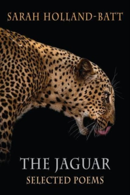 The Jaguar : Selected Poems-'9781780377049