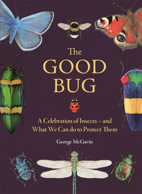 The Good Bug : A Celebration of Insects (and What We Can Do to Protect Them)-'9781789296693