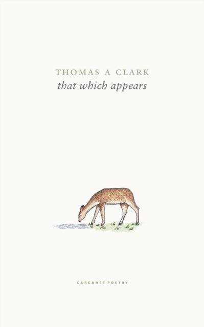 that which appears-'9781800173859