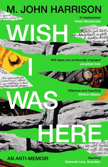 Wish I Was Here : 'The best writer you've never heard of' - Sunday Times-'9781800812987