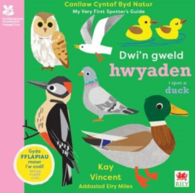 Dwi'n Gweld Hwyaden / I Spot a Duck : Canllaw Cyntaf Byd Natur / My Very First Spotter's Guide-'9781804163924