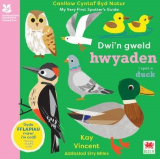 Dwi'n Gweld Hwyaden / I Spot a Duck : Canllaw Cyntaf Byd Natur / My Very First Spotter's Guide-'9781804163924