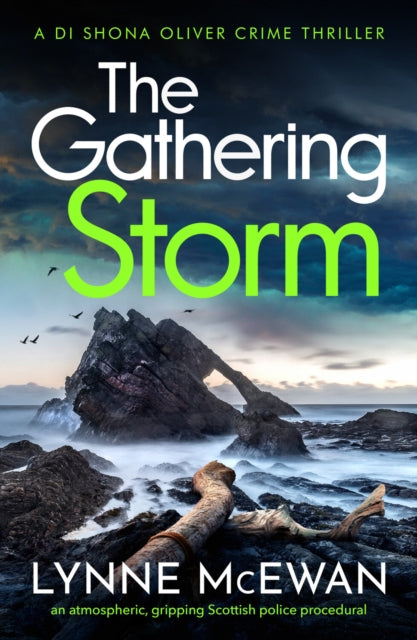 The Gathering Storm : An atmospheric, gripping Scottish police procedural-'9781804362310