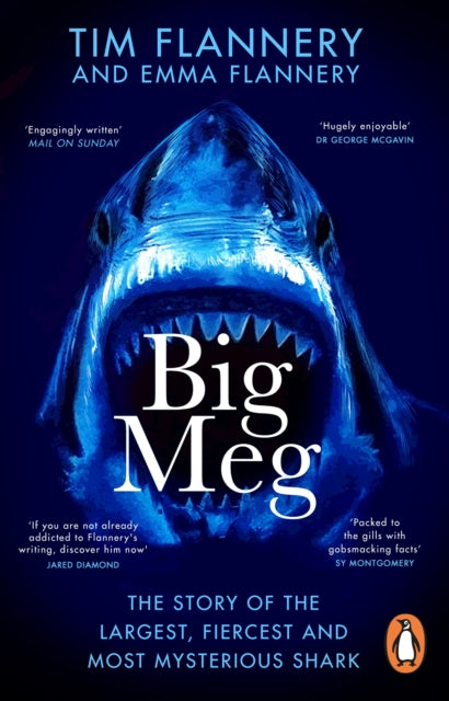 Big Meg : The Story of the Largest, Fiercest and Most Mysterious Shark-'9781804992265