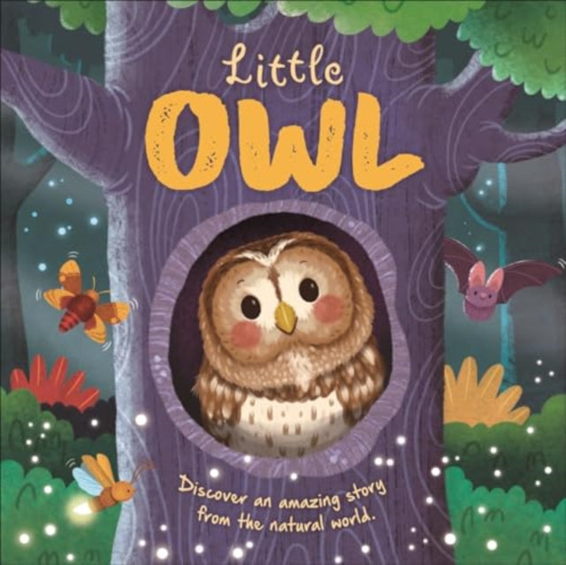 Little Owl-'9781837714346