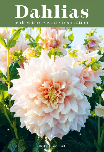 Dahlias : Inspiration, Cultivation and Care for 222 Varieties-'9781837830954