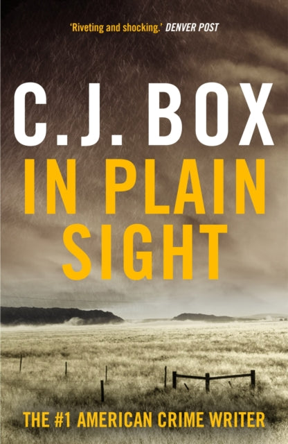In Plain Sight-'9781837931941